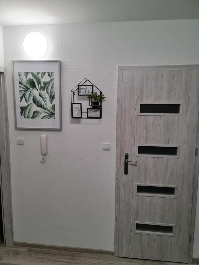 Apartament Nova Przy S3 Nowa Sol Exterior foto